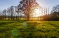 Czech autumn landscape. Meadow with cobweb, tree alley and distant hill at sunset Royalty Free Stock Photo