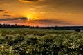 Czech counrtyside at sunset. Summer evening Royalty Free Stock Photo