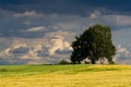 Czech countryside before the evening storm