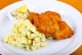 Czech cuisine - schnitzel