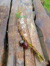 Easter Eggs and Braided Whip, Czechia