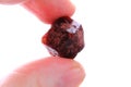 czech garnet mineral Royalty Free Stock Photo