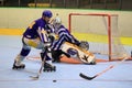 Czech inline hockey extraleague