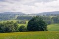 Czech Landscape