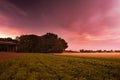 Czech landscape with green and gold fields, big trees and a highway bridge between the villages Brozany nad Ohri, Doksany and Hos Royalty Free Stock Photo