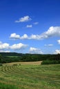 Czech landscape in summer