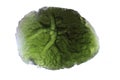 czech moldavite isolated Royalty Free Stock Photo
