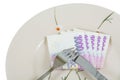 Czech money crown paper notes Royalty Free Stock Photo