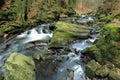 Czech nature - swift Doubrava river Royalty Free Stock Photo