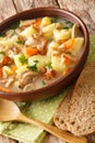 Czech Potato Soup Bramboracka with forest mushrooms closeup in the plate. Vertical Royalty Free Stock Photo
