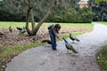 Czech, Prague: The girl feeds peacocks on the trail in the park `Voyanovy Gardens`.
