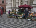 CZECH REPUBLIC, Prague, December 12, 2019: Market stall at Vodickova street selling fruits, vegetable, mistletoe, fir
