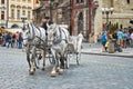 Czech Republic. Team of white horses with a coachman on the Old Town Square in Prague.