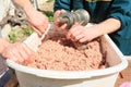 Czech shambles - filling pork hash into intestines Royalty Free Stock Photo