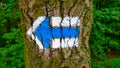 Czech touristic symbol for showing to turn left pained onto tree trunk in blue Royalty Free Stock Photo