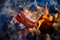 Czech Traditional barbecue sausages on a stick Royalty Free Stock Photo