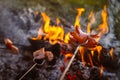 Czech Traditional barbecue sausages on a stick Royalty Free Stock Photo