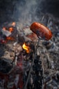 Czech Traditional barbecue sausages on a stick Royalty Free Stock Photo