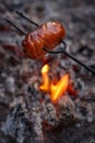 Czech Traditional barbecue sausages on a stick Royalty Free Stock Photo