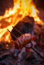 Czech Traditional barbecue sausages on a stick Royalty Free Stock Photo