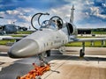 Czech training jet aircraft L-159 Alca Royalty Free Stock Photo