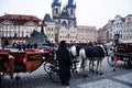 Czechia wait and ride classic antiques vintage retro horse drawn carriages for foreign travelers use service visit tour Praha Old