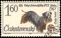 CZECHOSLOVAKIA - CIRCA 1965: a stamp, printed in Czechoslovakia, shows a czech terrier dog