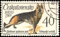 CZECHOSLOVAKIA - CIRCA 1965: a stamp, printed in Czechoslovakia, shows a German Shepherd, series World Dog Show at Brno