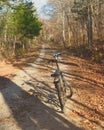 Bicycling through autumnal forest on a sunny afternoon