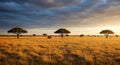 Acacia trees (Acacia sp.) dot the plains of the African savanna during a picturesque sunset. Royalty Free Stock Photo