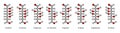 D-aldohexose sugars: allose, altrose, glucose, mannose, gulose, idose, galactose, talose