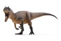 3d render of ferocious Allosaurus Royalty Free Stock Photo