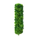 3d alphabet letter I. Green plant, leaves, grass, moss, basil, mint. Isolated on a white background with Clipping Path. 3d Royalty Free Stock Photo