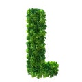 3d alphabet letter L. Green plant, leaves, grass, moss, basil, mint. Isolated on a white background with Clipping Path. 3d Royalty Free Stock Photo