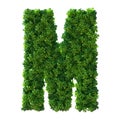 3d alphabet letter M. Green plant, leaves, grass, moss, basil, mint. Isolated on a white background with Clipping Path. 3d Royalty Free Stock Photo