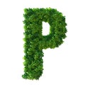 3d alphabet letter P. Green plant, leaves, grass, moss, basil, mint. Isolated on a white background with Clipping Path. 3d Royalty Free Stock Photo