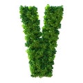 3d alphabet letter V. Green plant, leaves, grass, moss, basil, mint. Isolated on a white background with Clipping Path. 3d Royalty Free Stock Photo