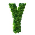 3d alphabet letter Y. Green plant, leaves, grass, moss, basil, mint. Isolated on a white background with Clipping Path. 3d Royalty Free Stock Photo