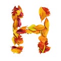 3d alphabet, uppercase letter H made of leaves, 3d rendering, autumn