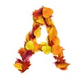 3d alphabet, uppercase letter A made of leaves, 3d rendering, autumn