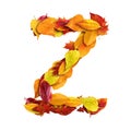 3d alphabet, uppercase letter Z made of leaves, 3d rendering, autumn