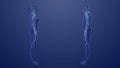 3d Anatomy of male and female lymphatic system Royalty Free Stock Photo