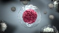 3d animation coronavirus SARS-CoV-2 medical concept, pandemic. COVID-19 virus inside human body, in cytoplasm of