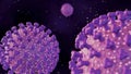 3d animation of Echovirus or enteric cytopathic human orphan virus