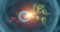 3D Animation of Fertilization Process with Sperm Cells and Egg Cell on Blue Background Abstract Visual Medical Royalty Free Stock Photo