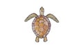 Green Sea Turtle Swimming Watercolor 2D Animation