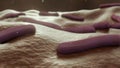 3d animation of Mycobacterium leprae causes leprosy