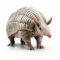 Cel Shaded 3d Armadillo Portrait In White Background