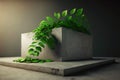 3d art podium-keytodesc with large stone pedestals decorated with green branch