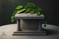 3d art podium-keytodesc with large stone pedestals decorated with green branch